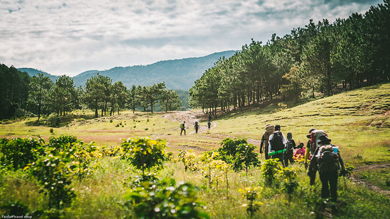 Nên làm gì nếu không may đi lạc khi đang leo núi, trekking?